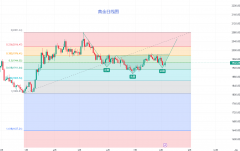 <b>最终才能得到想要的结果，文华财经随身行官网</b>