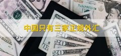 天眼外汇官网点差可以了