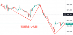 赢交易者终极大礼-mt4华