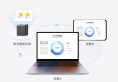 它采用了NSA企业级储存技