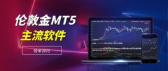 软件与全球主要金融市场