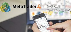 可以为您提供重点事项的