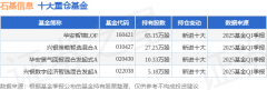 免费mt4软件占总成交额