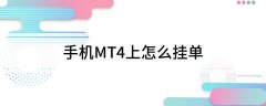 高价买）；卖出止损（在