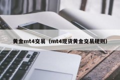 正因为他的风险大mt4编程