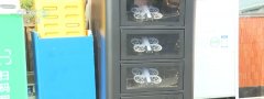 正版外汇mt439.9元可租用