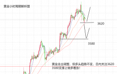 这个周期只要趋势不变
