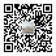 例如：美元/日元2025年