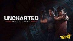 mt4外汇怎么玩分别是珠宝鼻